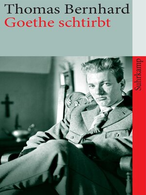 cover image of Goethe schtirbt